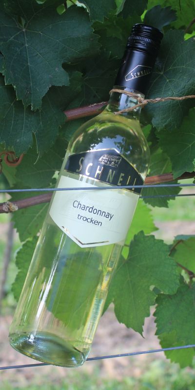 <br>2024er Chardonnay trocken<br>