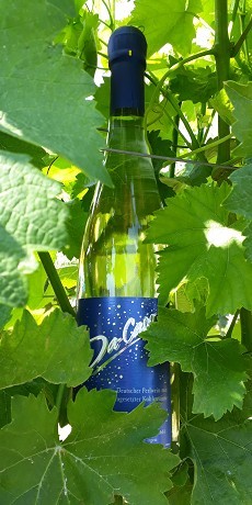 <br>DaCapo Secco<br>