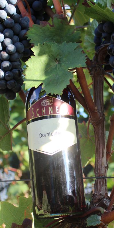 <br>2024er Dornfelder trocken<br>