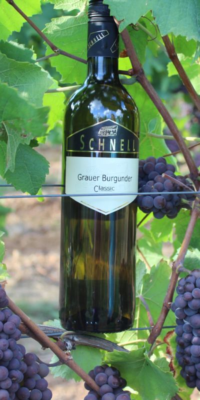 <br>2024er Grauer Burgunder Classic<br>