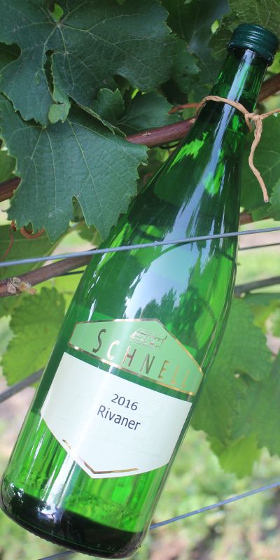 <br>2024er Rivaner Qualitätswein<br>