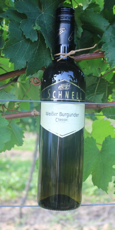 <br>2024er Weißer Burgunder Classic<br>